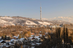 Mountain view on Dostyk Plaza